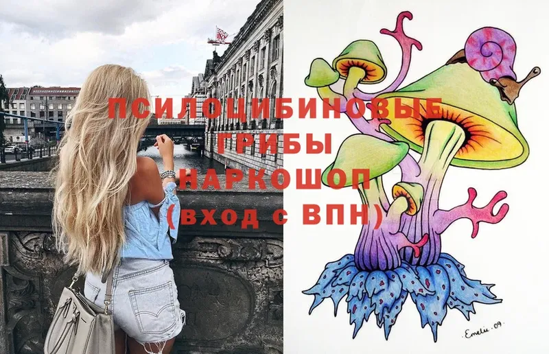 Галлюциногенные грибы Magic Shrooms  Рязань 